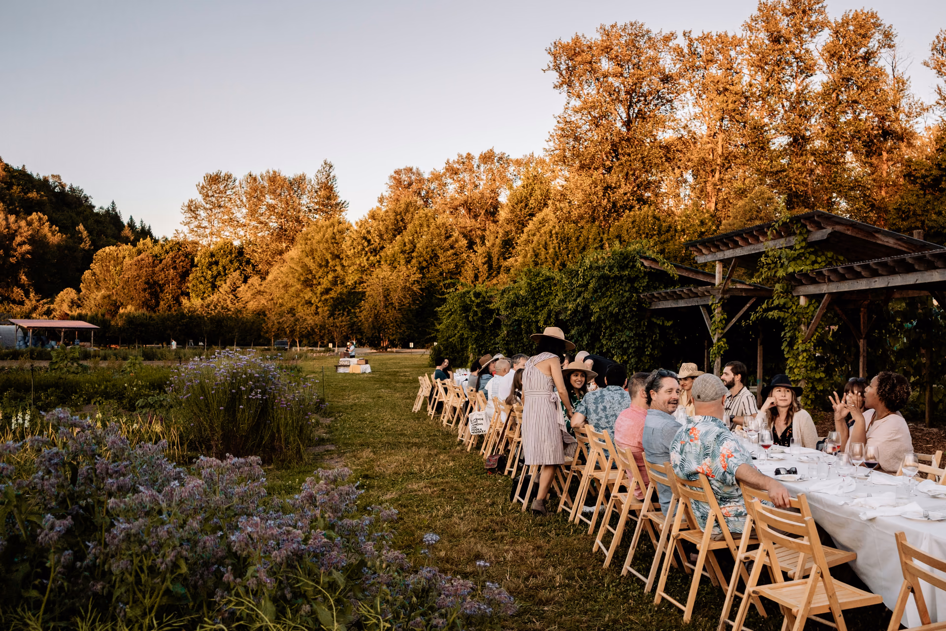 Une longue table dressée sous les arbres, à l'heure dorée du verger. One long table laid beneath the trees, in the orchard's golden hour.