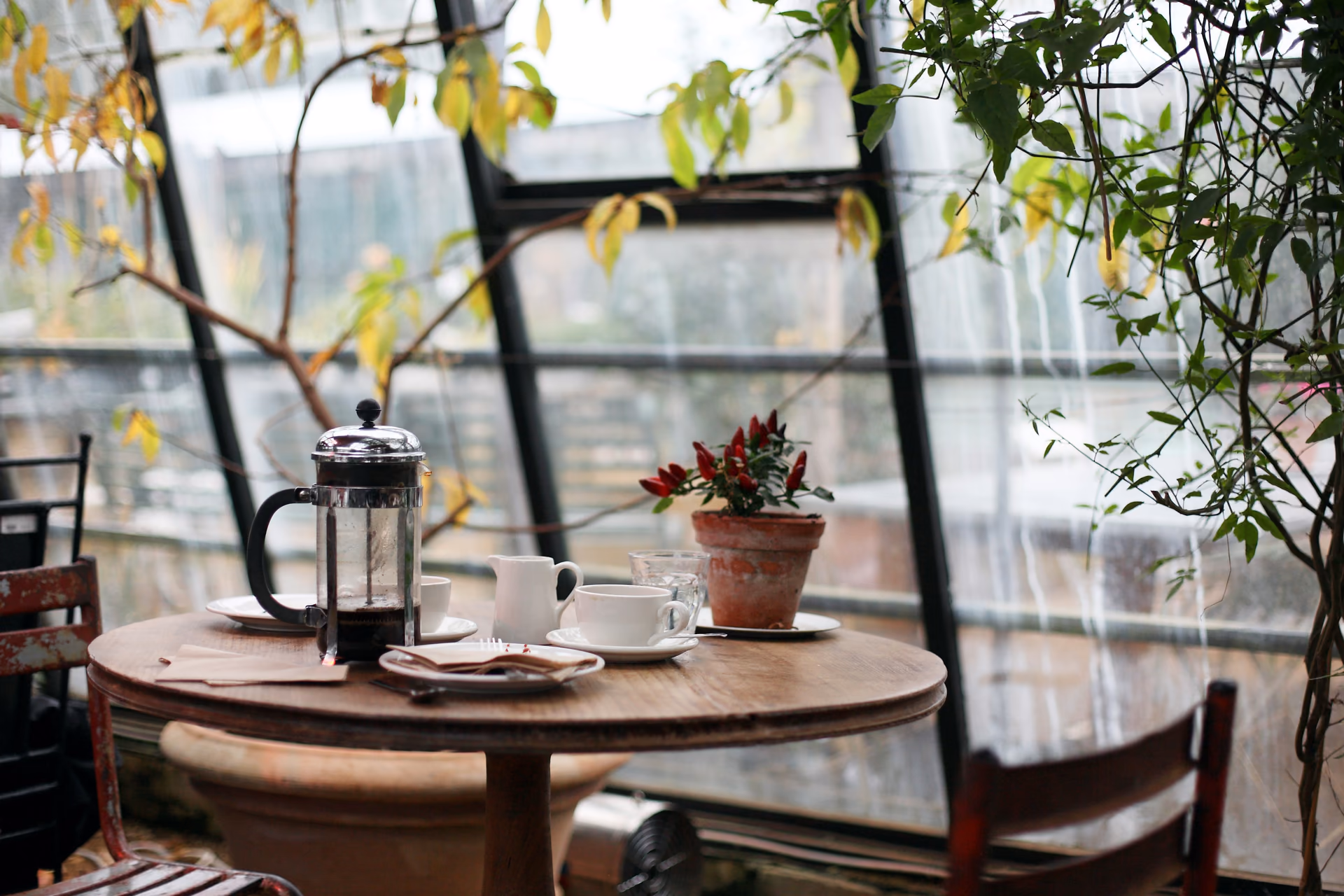 A round table under the glass, French press and porcelain waiting, a small pot of red peppers standing sentry.