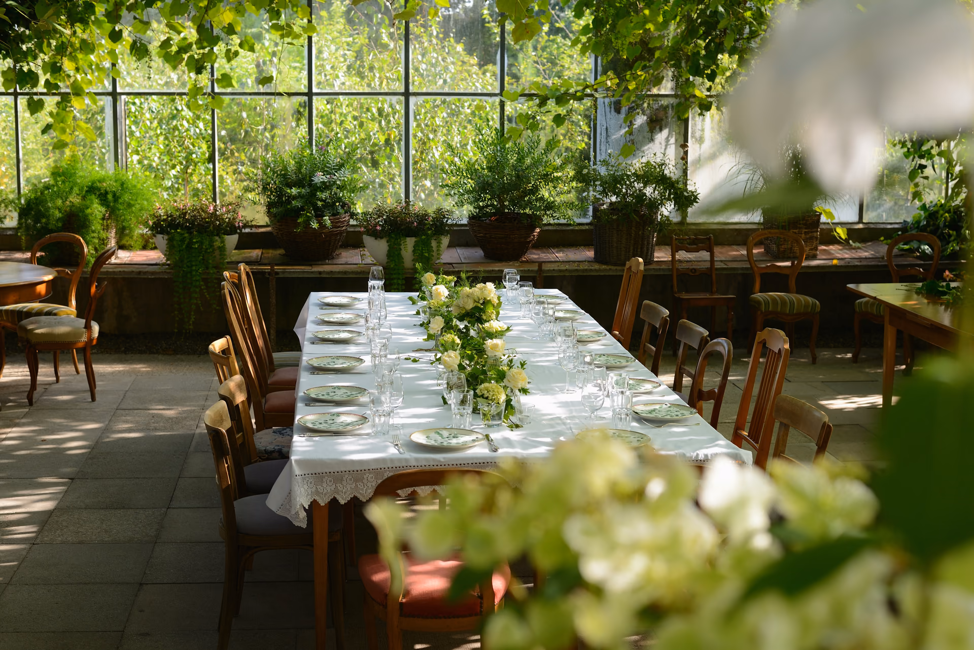 The long table laid under vine and glass, white linen and green plates set for the morning's guests.